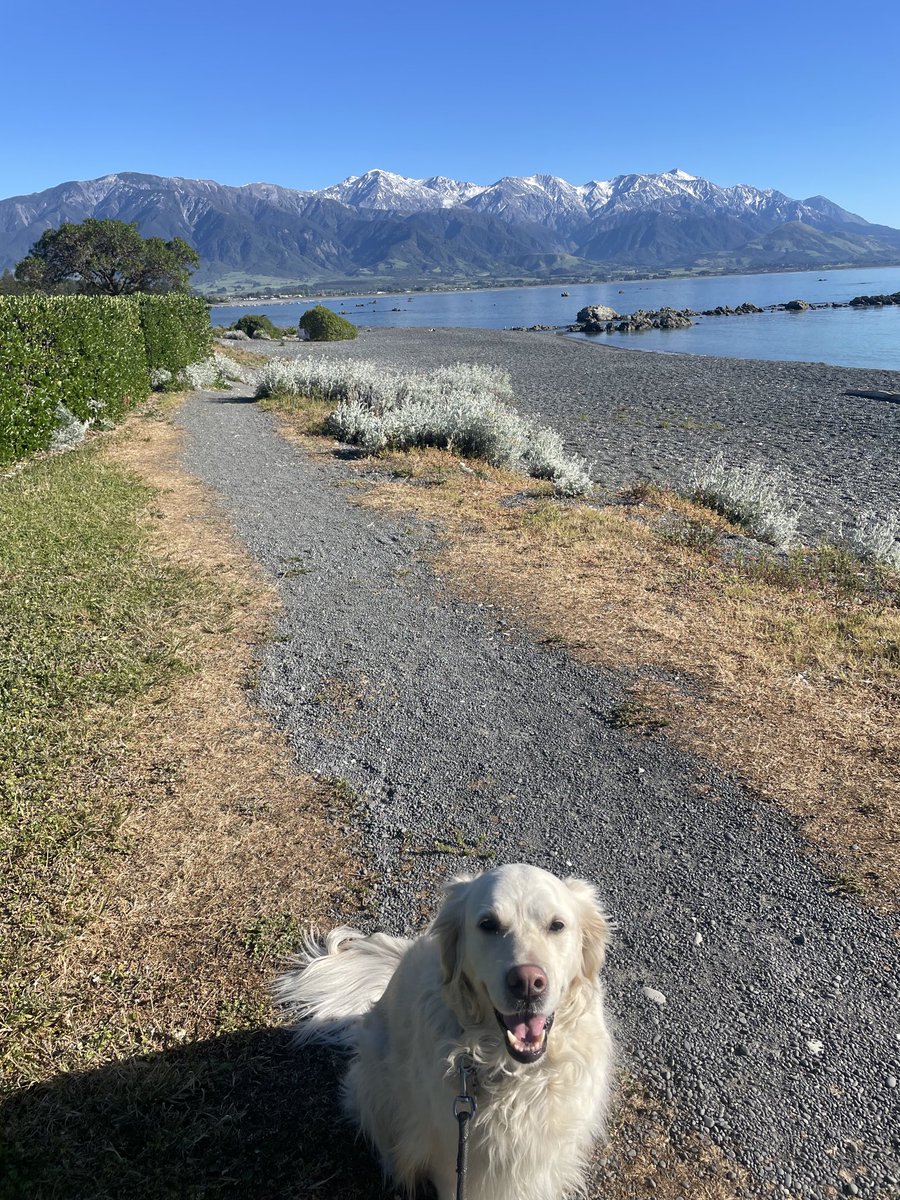 everwisefool's tweet image. Magical Kaikoura- NZ beauty ❤️