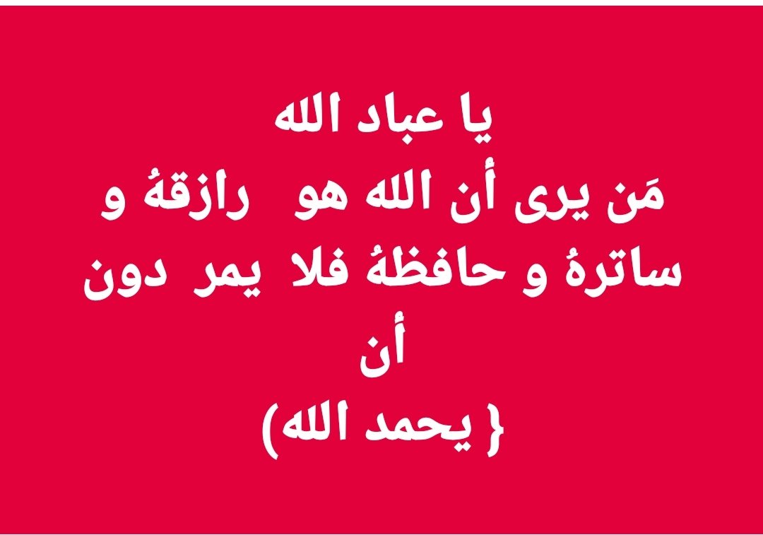 سلمى نور tweet media