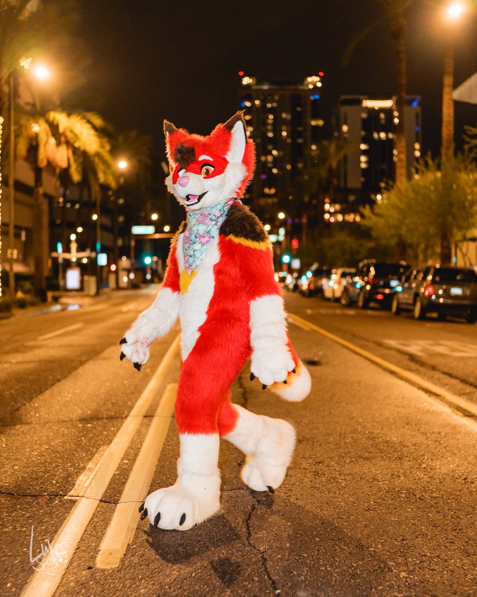 A tall foxxo with even taller ears! >:3