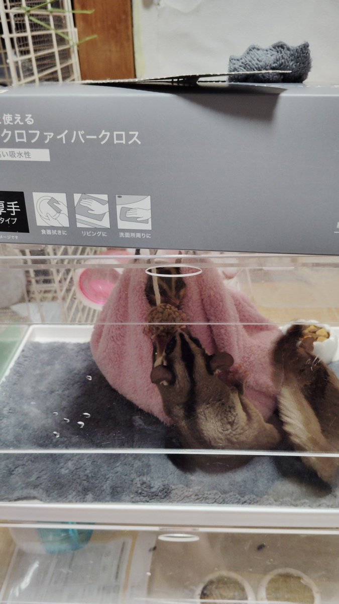 yunyunsuzu's tweet image. #モモンガさんが突然です 
DCMカーマの厚手タイプフワフワです
ホームセンター凄いです
1枚当たり30円ほどですが
カーマのは縁が処理してあるので
お気に入りです
ポーチにも2枚入れてあります
あたたかいようです
みんな元気だ！