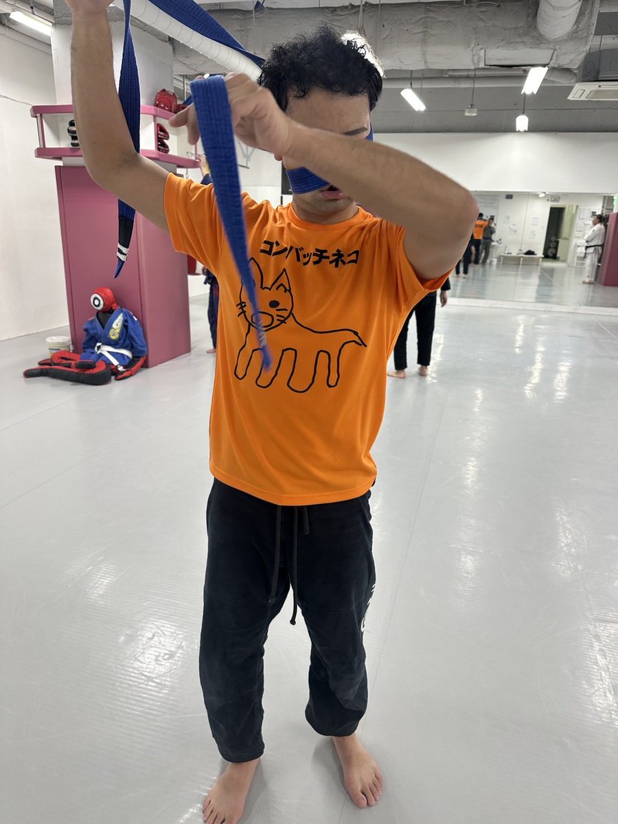 オレンジ可愛い🍊
#コンバッチネコ