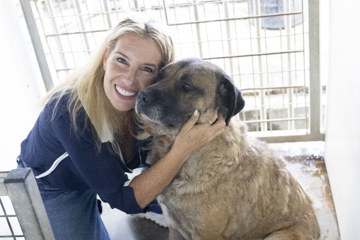 מחר חמישי 11 בבוקר בע״ה אני מארח בפודקסט לביאה אמיתית שהיא לפני הכל בן אדם.
הפעם לצדי בעמדת המראיין אלכס בקלו הנפלא מערוץ טוב.
בואו ושתפו כי יהיה ממש מעניין ❤️
<a href="/talgilboa/">טל גלבועTal Gilboa🇮🇱</a> <a href="/AlexkydHaifa/">Alex Bacalu</a>