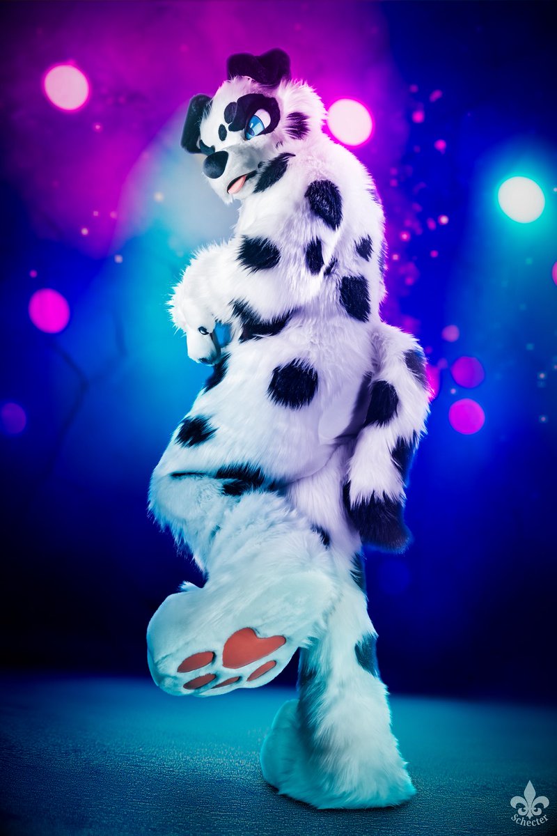 foxeuphoria's tweet image. I’m taller than I look!