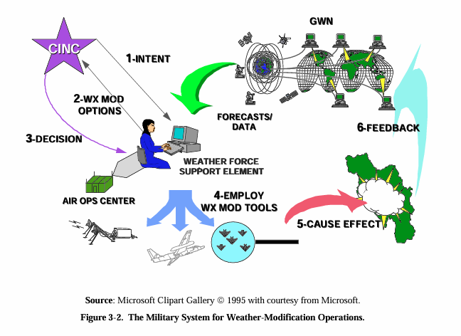 Attack Kitty 13 (@attackkitty13) on Twitter photo 