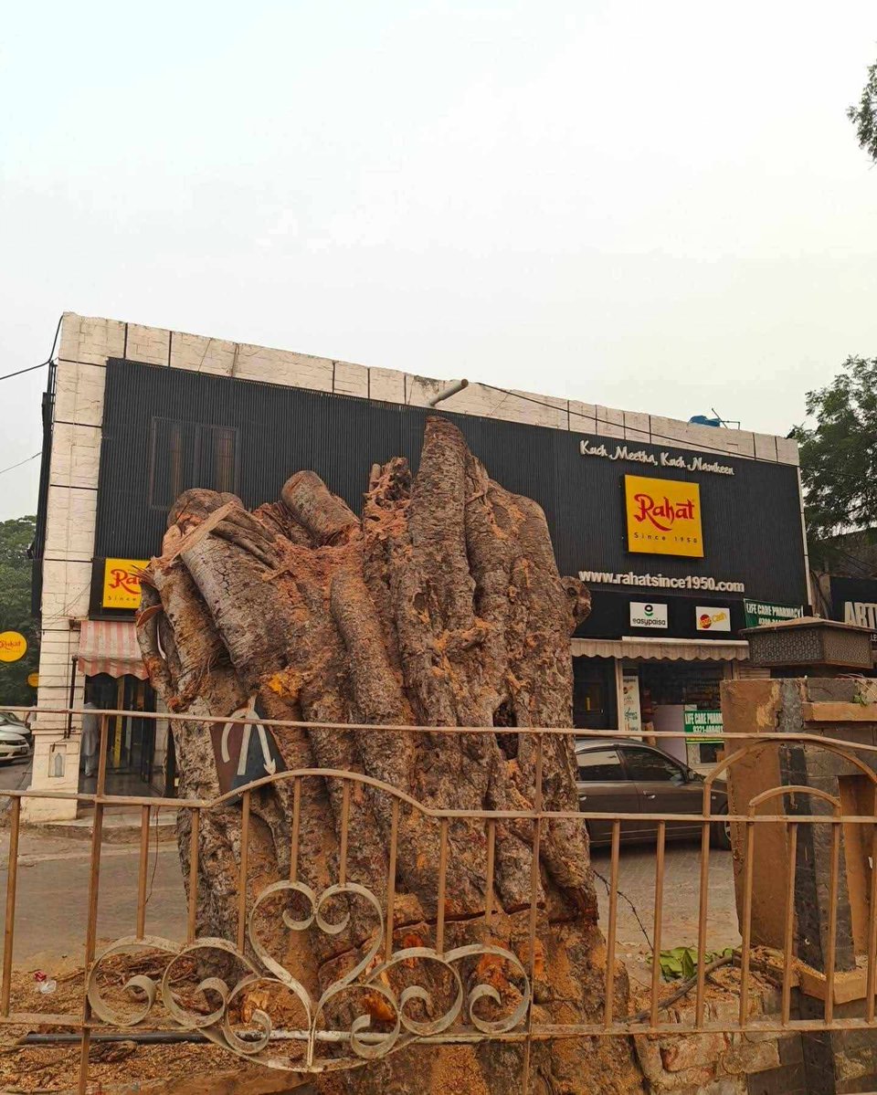 AzeemWyne's tweet image. In peak smog season 150-year-old tree a living piece of Lahore’s heritage has been cut down by Lahore Cantt Board reportedly on Rahat Bakery’s complaint cuz it blocked “customer parking.” 
#rahatbakery #savetreesavelife #Lahore
