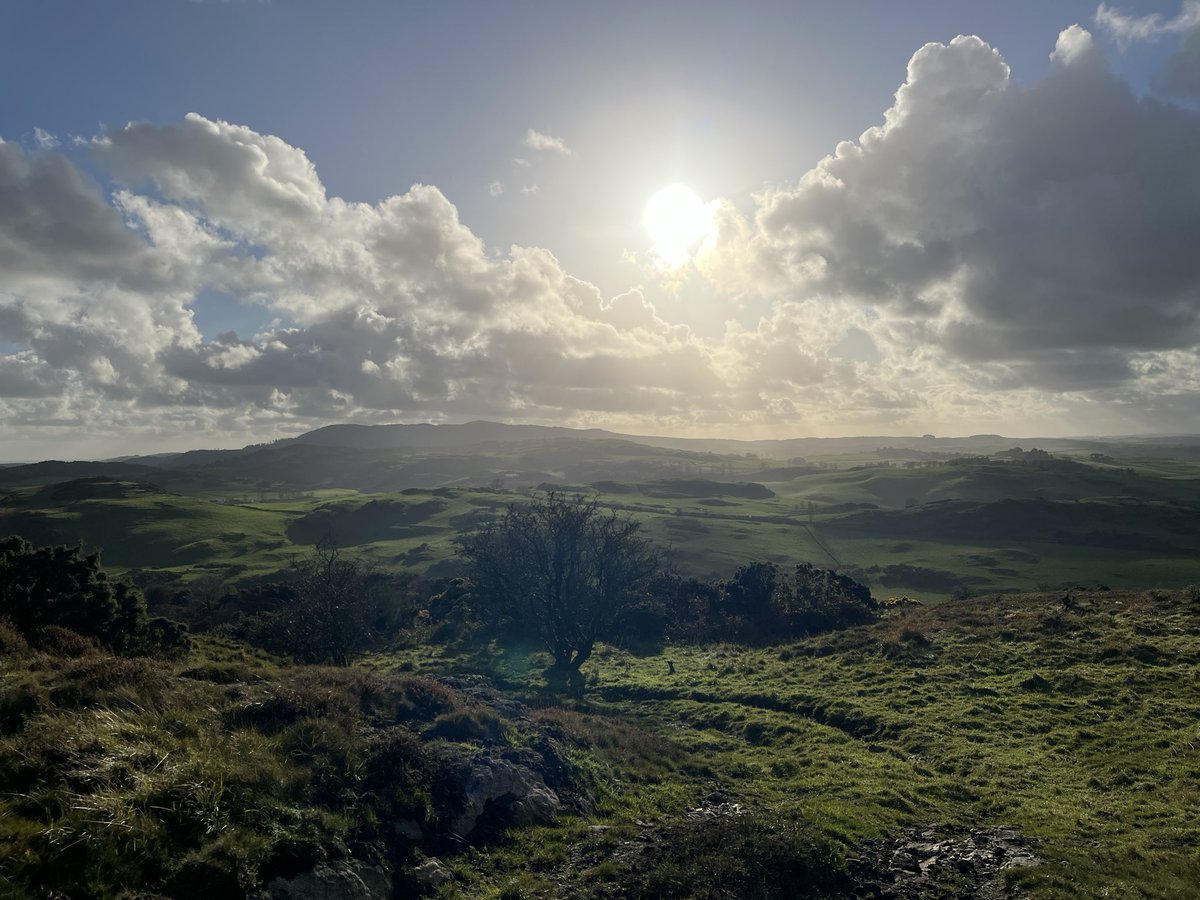 Simon Smith tweet media