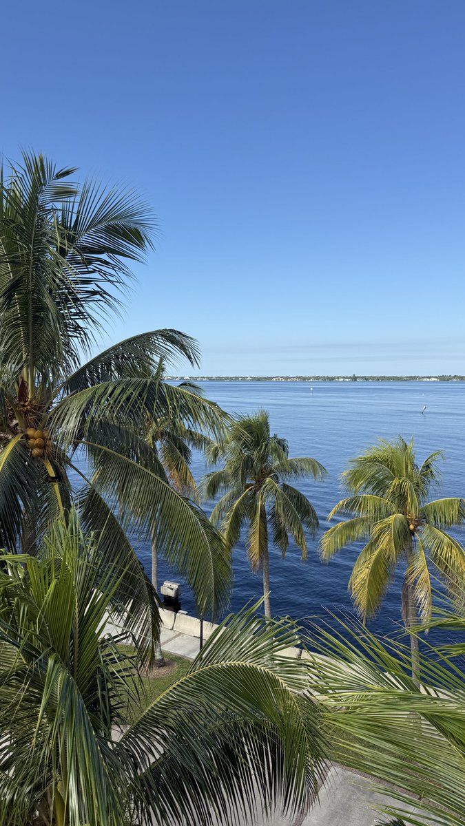 There weather in Fort Myers was 10/10 this morning! It was great for a 5K before work <a href="/GCNNow/">Gulf Coast News</a> 😎