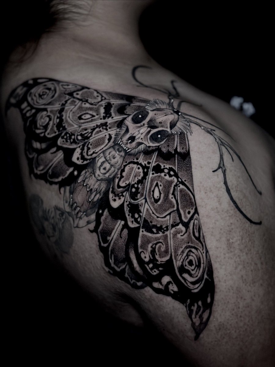 Quiero tatuar más bichos y más malvados 💀🥹

instagram.com/rookie.scratch