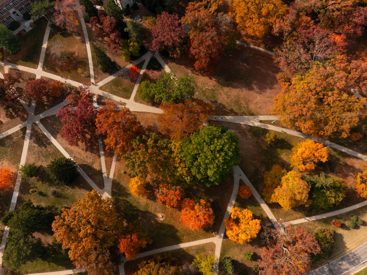 michiganstateu's tweet photo. There are more than 20,000 trees across MSU's campus, with the oldest ones somewhere between 350 and 400 years old. https://t.co/vGT17xBW5K