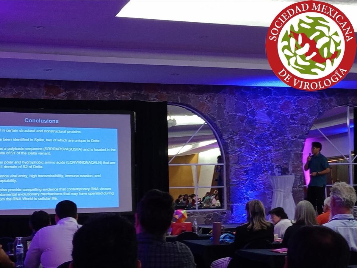 José Campillo tweet media