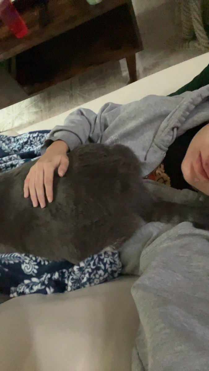 When you’re sick on the couch it’s kitty time :3 

(Guys my cat rat is actually gigantic, I can’t breathe send help)