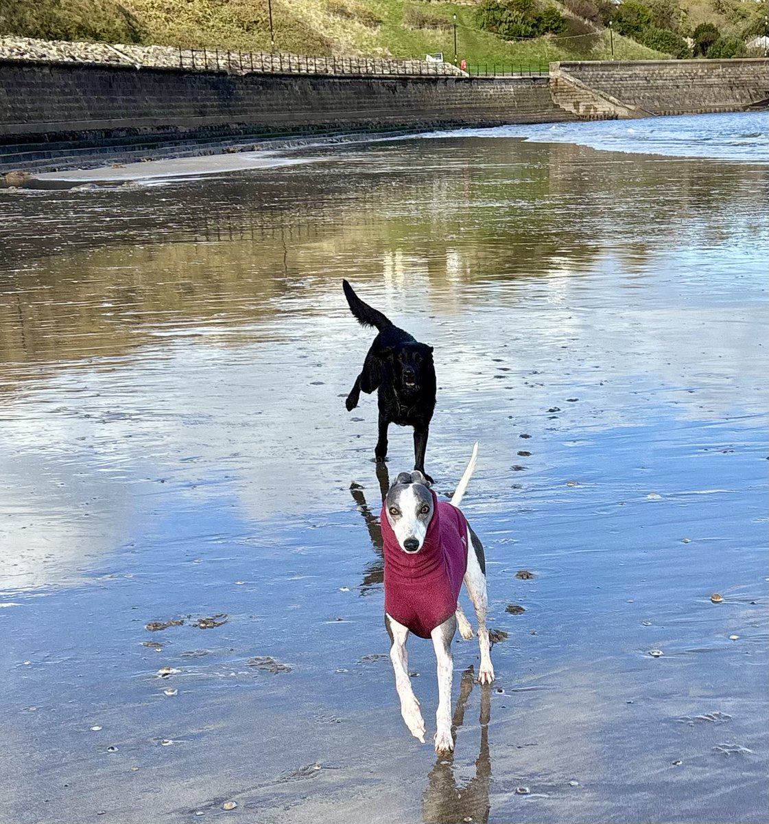 Miss Underscore tweet media