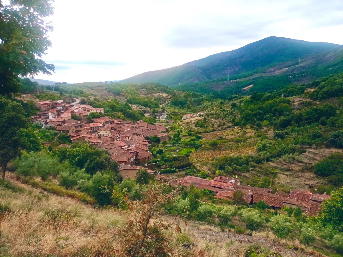 guardiacivilcc's tweet image. Las mejores historias se escriben en rincones como #RobledilloDeGata: un agente ayuda a una persona mayor con su carro de la compra en una cuesta imposible.  

La solidaridad y el apoyo siempre encuentran su camino. 💚  

#GuardiaCivil #Cáceres #SiempreCerca