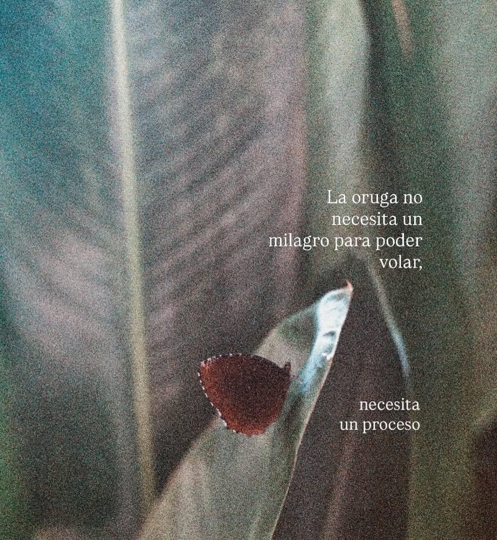 Todo es un proceso 😌🦋