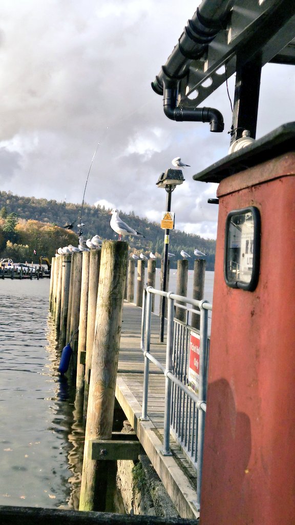 Nazi Nazemi ❤️☫💚 tweet media