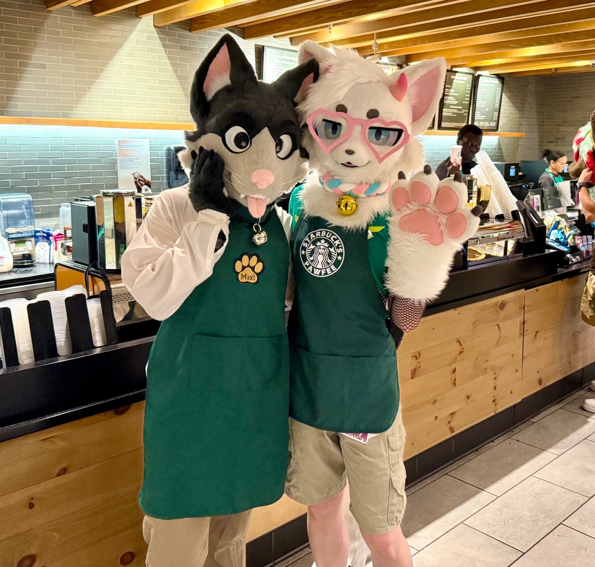 Happy national cat day to all the kitties. Far too many felines in the clowder to get them all in one post.