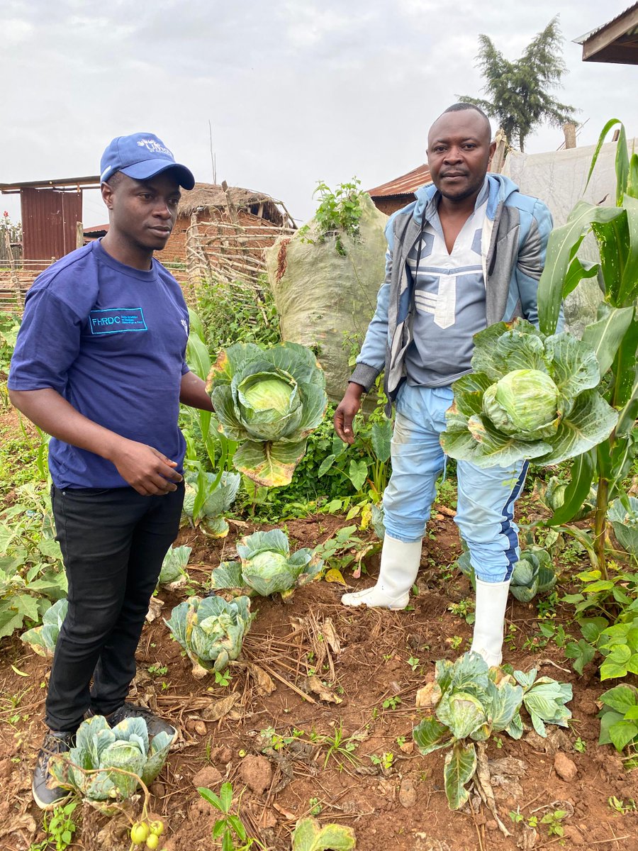 umojainaction's tweet photo. Impact réussi au Nord-Kivu
Clôture d'un projet de 1 an financé par #FHRDC  ZS Kayna.
✅2000 ménages renforcés en sécurité alimentaire et moyens de subsistance
✅39 AVEC créées pour l'autonomie financière
✅Près de 96000 pers. sensibilisées
Le chemin vers la résilience se poursuit https://t.co/Xga56mDcwr