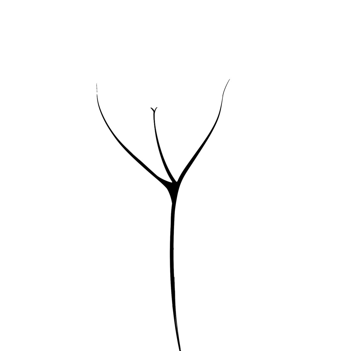 Check out this cool twig I found! It’s like a guy waving his arms! So cute!