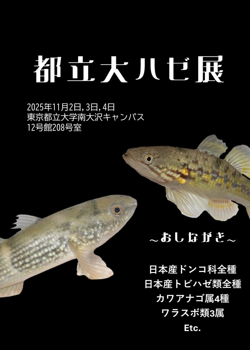 けいきものページ いきもの！サークル東京 on X