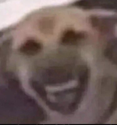 _rxmulo's tweet image. Começando o treino de perna com elevação lateral