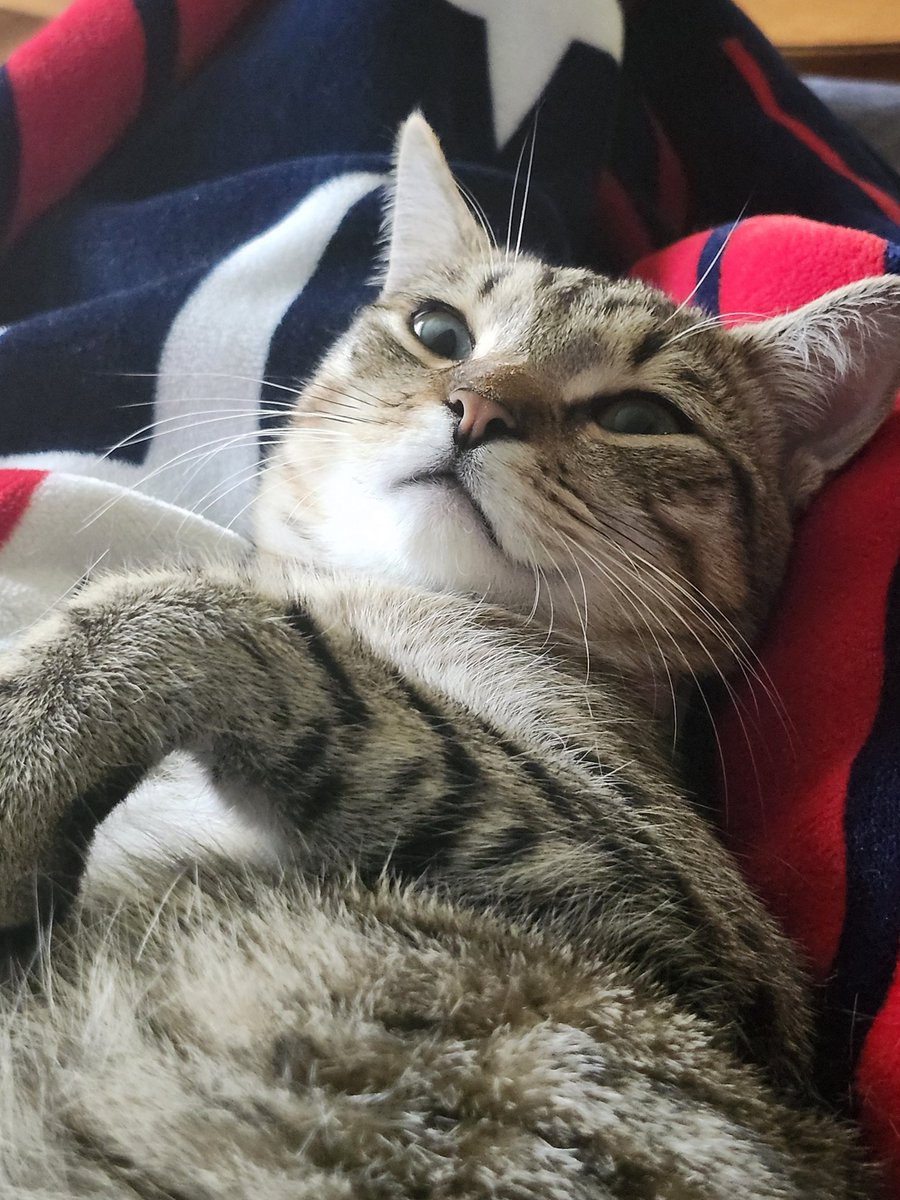 //just a heads up tomorrow until Sunday it'll be kinda spotty for me on here! I'm gonna be going to a convention but I'll still be lurking/responding to threads when I can! And if anything like usual dms are always open if you just wanna chat