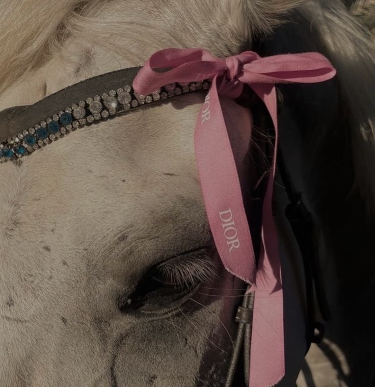 𝒫 (@lvspink0) on Twitter photo 