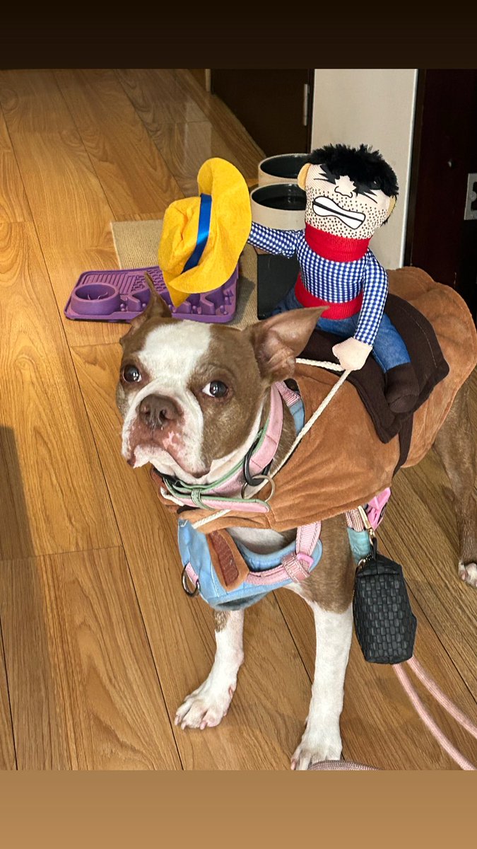 Hoy trufa tiene fiesta de disfraces en la guardería