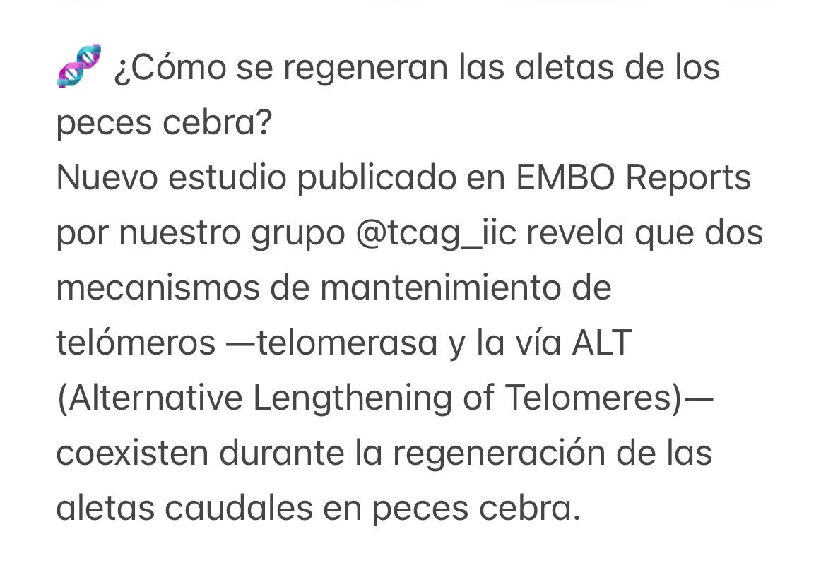 TCAG_IMIB's tweet image. embopress.org/doi/full/10.10…
@IIC_UMU_IMIB 
@emboreports 
@IMIB_RMurcia