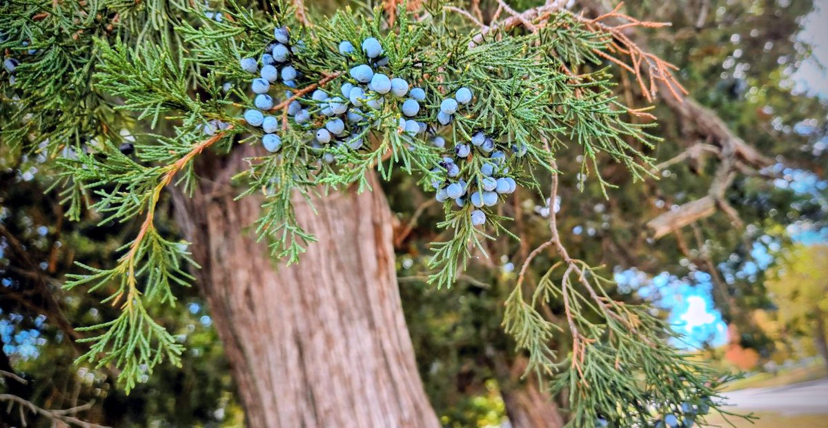 KcraKarmen's tweet image. #GoOutside #JustBreathe 😘