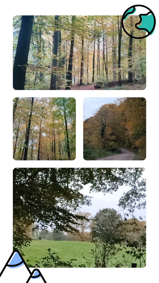 Trotz des trüben Wetters: der Herbst leuchtet golden.