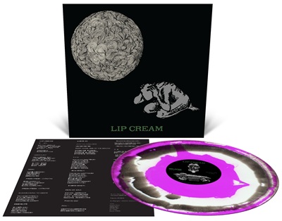 RECORD SHOP BASE on X