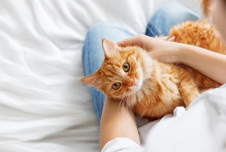 SophBooG's tweet image. 水曜日深夜のメモ：曇り／眠い。
掃除する→昼寝する。少しずつ前へ。 🍣