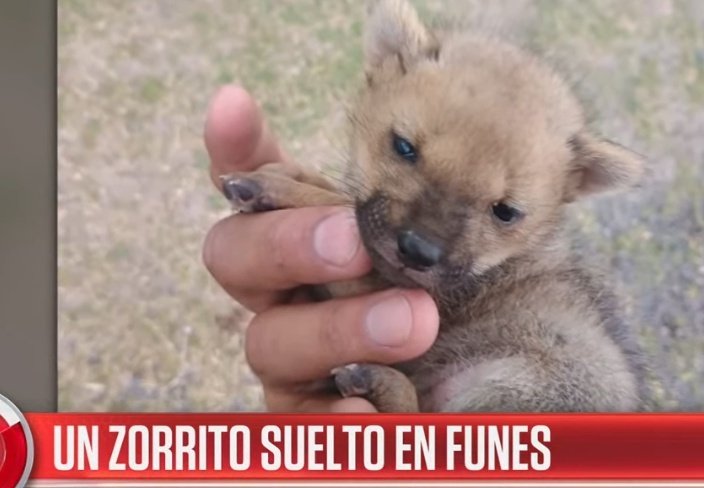 Noticias hasta el 26 : ARGENTINA APOCALIPTICA, 2001 PARTE2,EL DOLAR SE VA A 10,000

Noticias ahora :