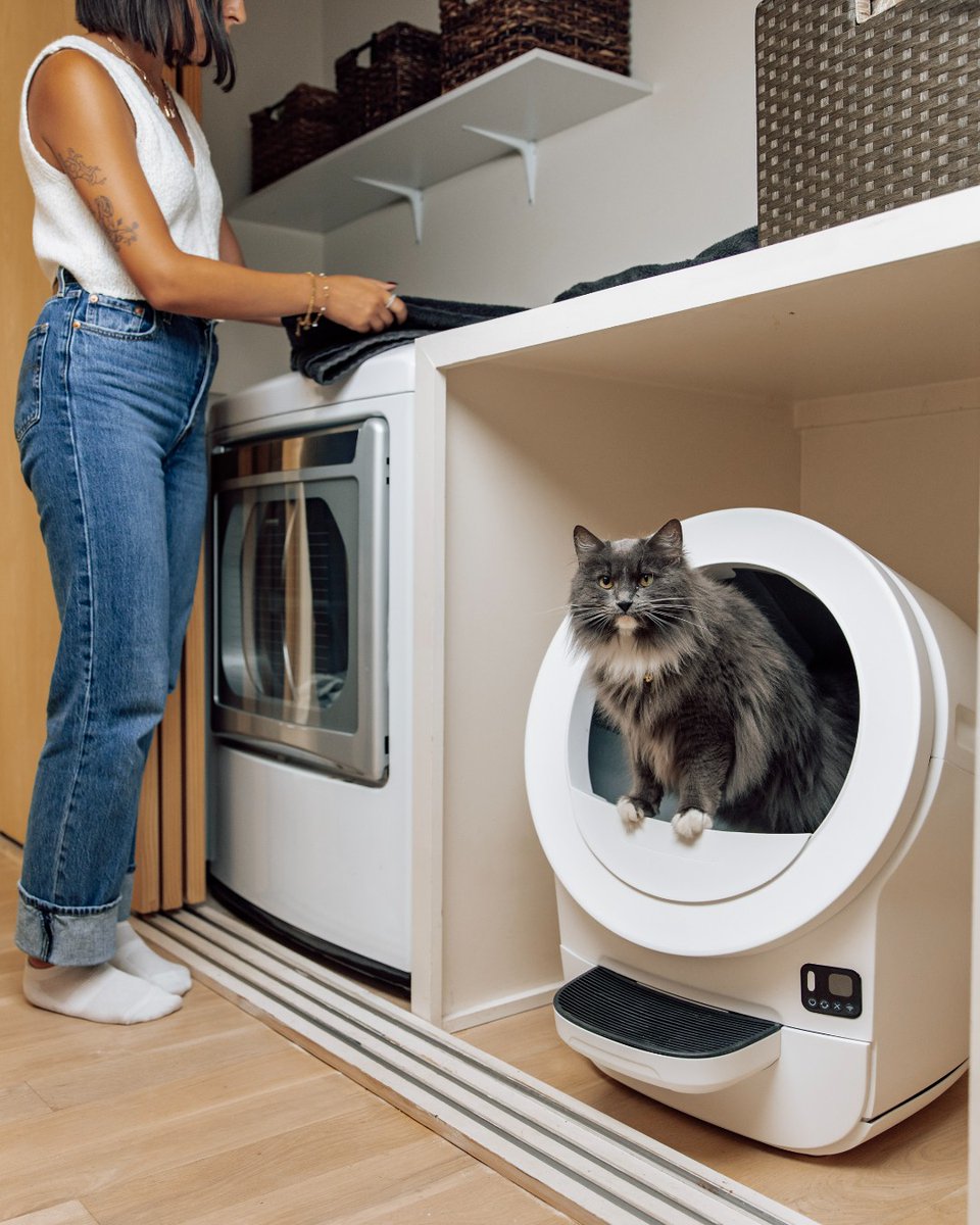 Because a laundry room should smell like laundry.
EVO tucks in anywhere—and keeps things effortlessly fresh. 🧺✨

#LitterRobot #Whisker #LitterRobotEvo #AutomaticLitterBox #CatLife #WhiskerLaunch