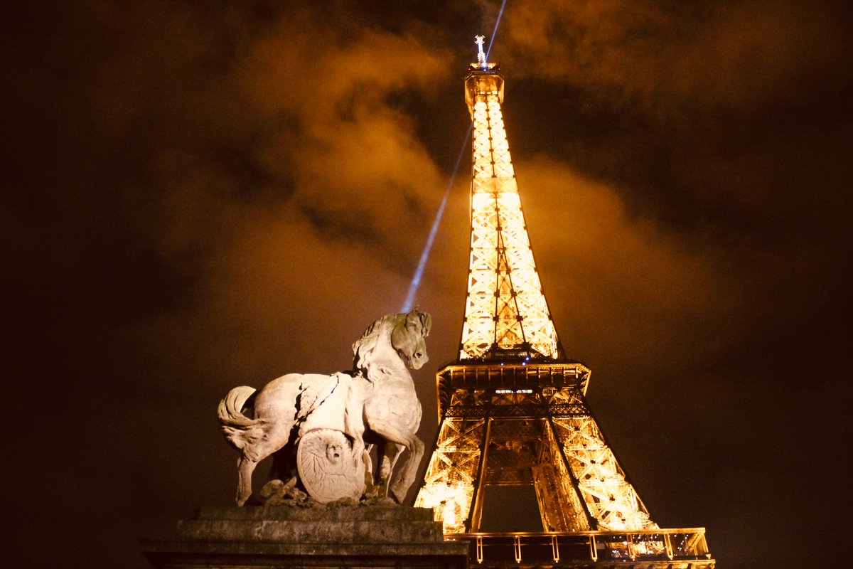 Matthew Adrien✝️🦁☀️ tweet media