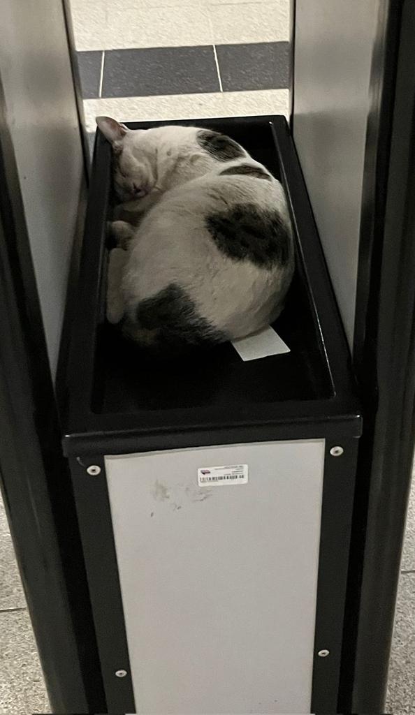 Ekimin üstüne güzel bi kasım geçirmem lazım riske atamayız