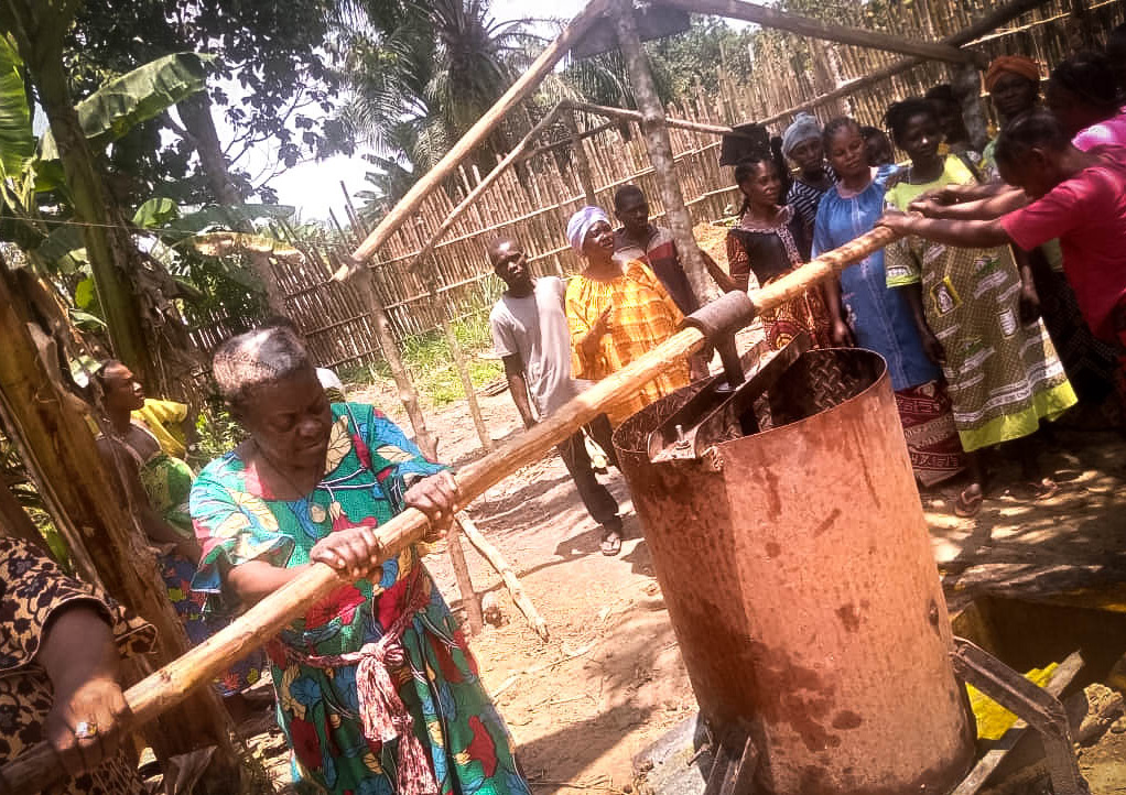 MDH Congo tweet media