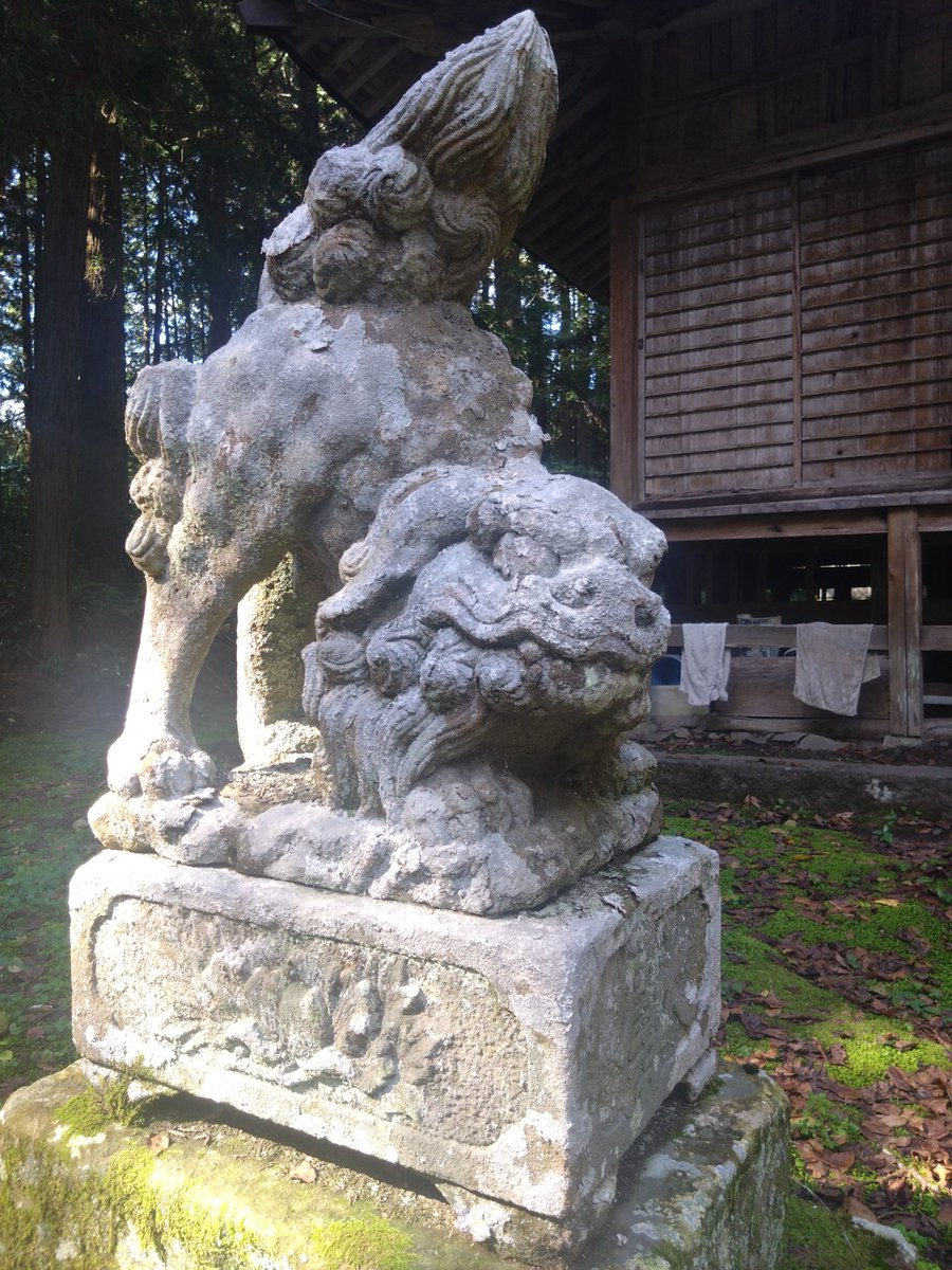 🐷南条 とん吉🐷 on X