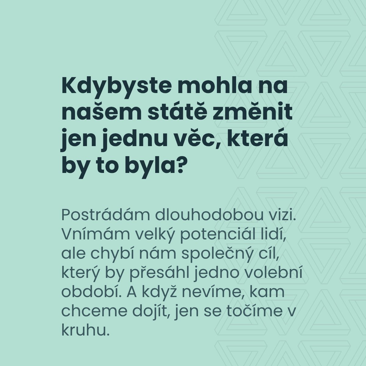 Aliance pro moderní stát tweet media