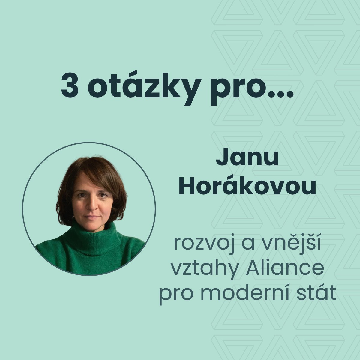 Aliance pro moderní stát tweet media