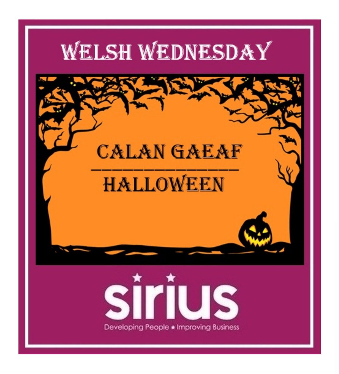 This week’s Welsh Wednesday is “Calan Gaeaf” meaning “Halloween”
 
#welshwednesday #siriusskills #CalanGaeaf #NTFW