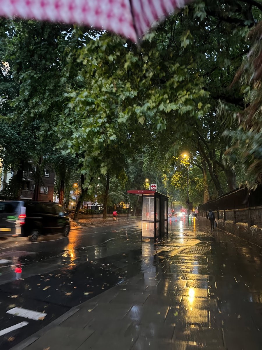 müsait misin 
seninle hırkalarımızı giyip 
serin bir sonbahar akşamı 
yürüyüşüne çıkalım mı