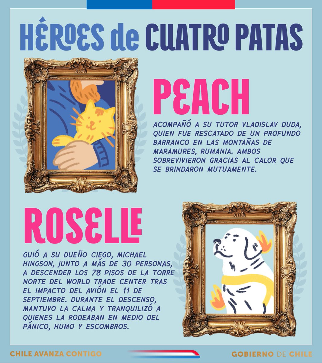 🐾🦹Los héroes de cuatro patas existen y de seguro tu también tienes uno en tu hogar.

#TenenciaResponsable #Ptrac