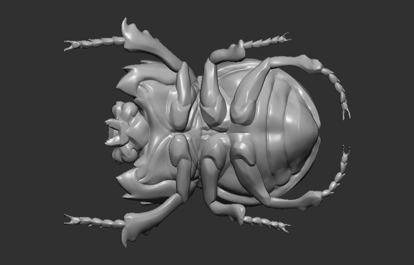 kangaroo8484's tweet photo. 昆虫スカルプトがたまらん。
#Zbrush #3dart https://t.co/89kVqKjqJA