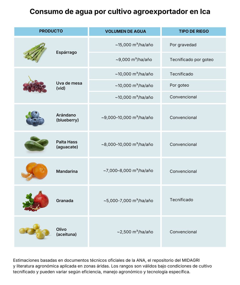 Los supermercados británicos Tesco, Sainsbury’s, Aldi y Lidl venden frutas cultivadas en un valle que se está secando. Un estudio de Water Witness advierte que la agroexportación hacia el Reino Unido se sostiene sobre acuíferos en crisis.
