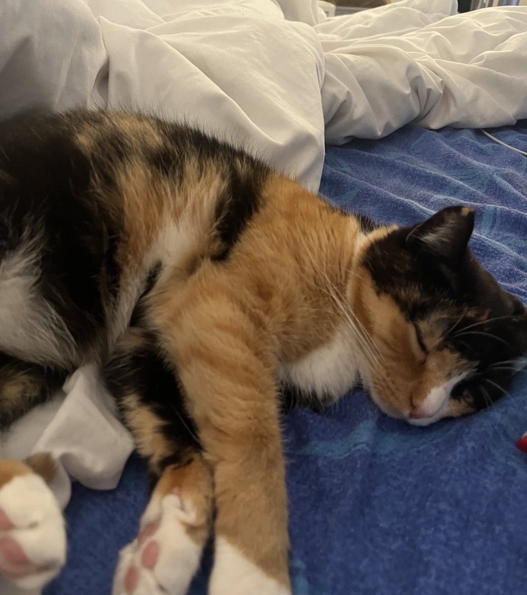 fumertue tweet media