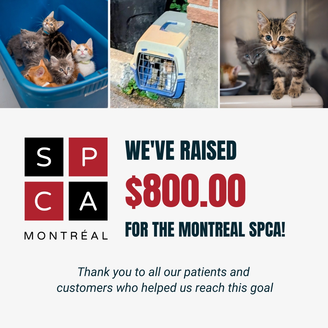 Earlier this month, during our Thanksgiving Sale, Apnea Health donated 5% of all online sales to the Montreal SPCA to help support their work during a time of record animal surrenders.

Learn about our previous fundraising campaigns: ow.ly/mpvU50XjqWg