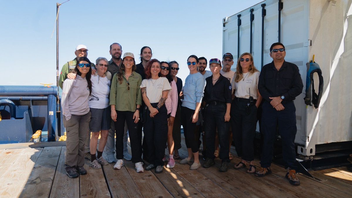 mariana_boy's tweet image. Confirmamos la presencia de entre 7 y 10 vaquitas marinas en el Alto Golfo de California y el nacimiento de nuevas crías. 🐬✨
Este resultado nos llena de esperanza y refuerza el compromiso de México @SEMARNAT_mx @SEMAR_mx @CONANP_mx @PROFEPA_Mx y de aliados como @SeaShepherdMx…