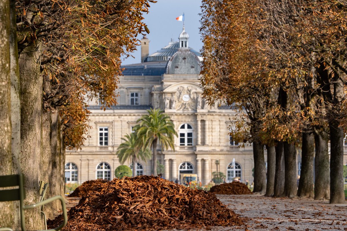 Jardin du Luxembourg tweet media
