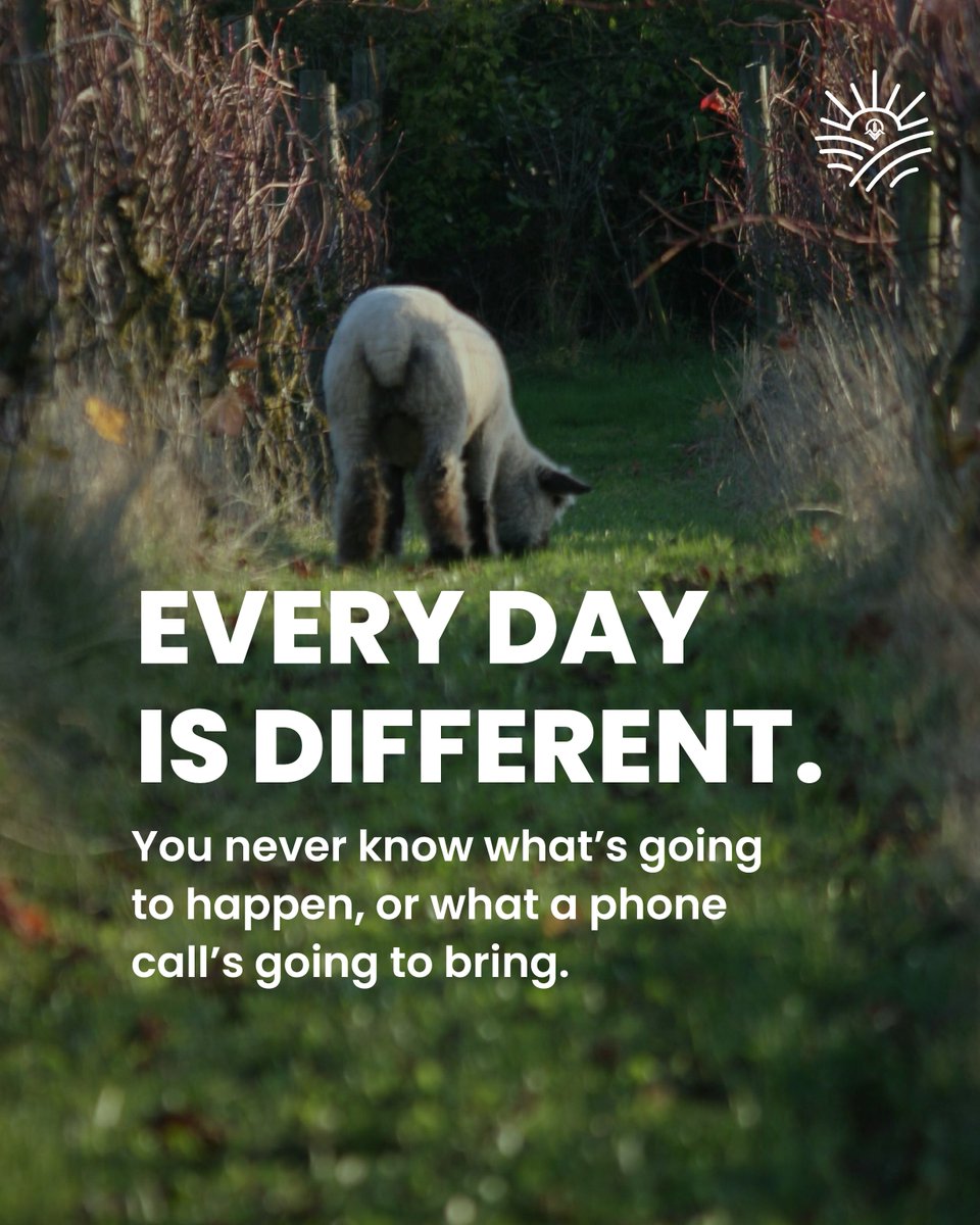 CAAVAgValuer's tweet image. Work rural, belong anywhere.
Land Valuing can take you there; no one day is the same.

Boring? Not us.
Find out more - caav.org.uk/welcome-to-rou…

#routetorural